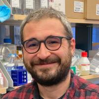 Uğur Akcan, PhD